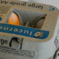 The Egg That Knew Too Much