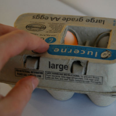 Egg That Knew Too Much