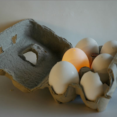 Egg That Knew Too Much